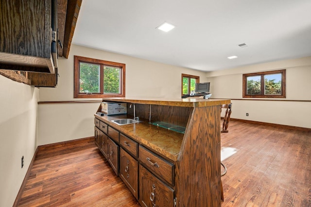 kitchen featuring a sink, light wood-type flooring, healthy amount of natural light, and baseboards