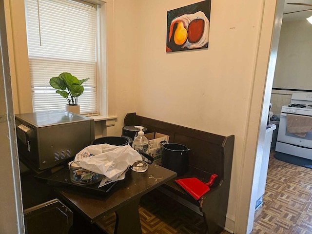 dining area featuring a healthy amount of sunlight