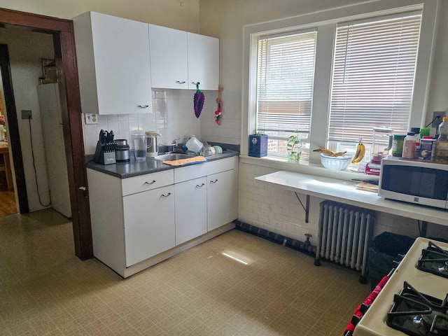 kitchen featuring radiator, tasteful backsplash, white cabinets, and a sink