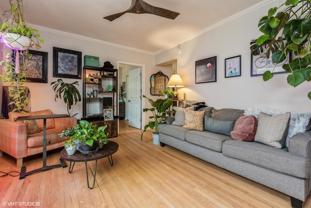 living area featuring wood finished floors, a ceiling fan, and ornamental molding