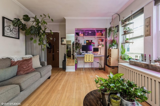 living area featuring ornamental molding and wood-type flooring