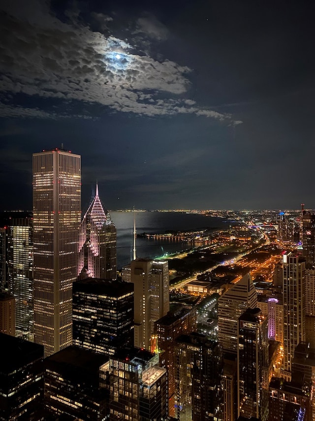 401 N Wabash Ave Unit 49G, Chicago, IL 60611 - city view