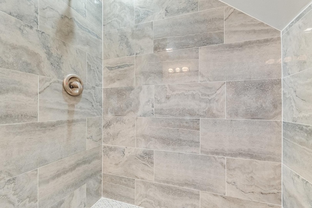7740 S Vernon Ave, Chicago, IL 60619 - room details featuring tiled shower