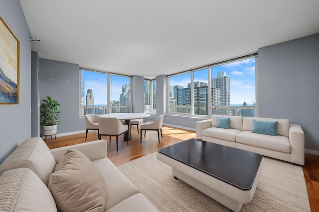33 W Ontario St Unit 46A, Chicago, IL 60654 - living area featuring light wood finished floors, baseboards, and a view of city