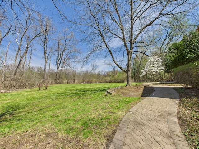 408 N Butterfield Rd, Libertyville, IL 60048 - photo 45