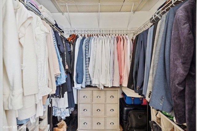 view of spacious closet