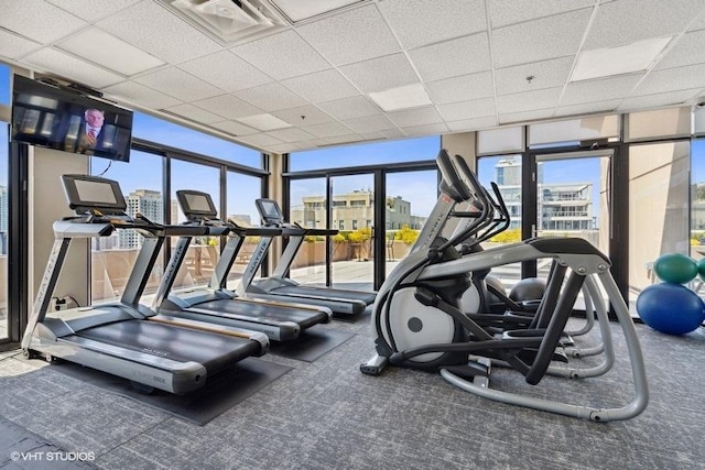 exercise room featuring expansive windows, a view of city, carpet floors, and a paneled ceiling