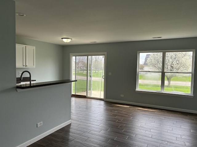 interior space with baseboards, visible vents, a sink, and dark wood-type flooring