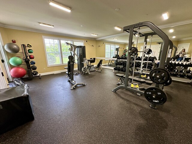 291 Lakeshore Dr, Oswego, IL 60543 - exercise room featuring ornamental molding and baseboards