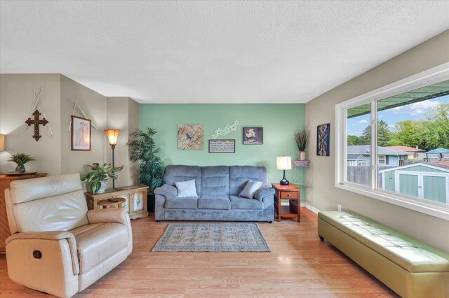 living room featuring a textured ceiling and wood finished floors