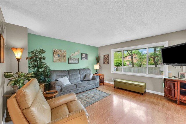 living room with baseboards, a textured ceiling, and wood finished floors