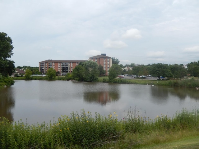 75 Kristin Cir Unit 401, Schaumburg, IL 60195 - water view