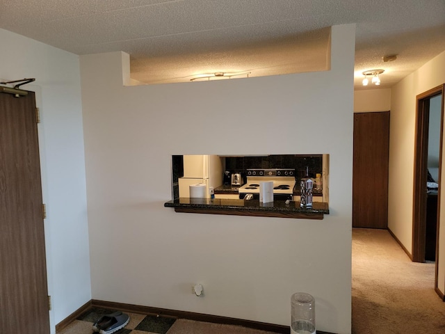 75 Kristin Cir Unit 401, Schaumburg, IL 60195 - kitchen with white appliances, carpet, and a textured ceiling