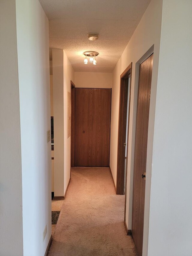 75 Kristin Cir Unit 401, Schaumburg, IL 60195 - corridor with light colored carpet and a textured ceiling