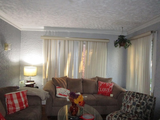 9201 S Marshfield Ave, Chicago, IL 60620 - living area featuring ornamental molding, a textured ceiling, and a textured wall
