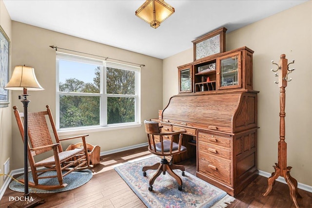 office with baseboards and wood finished floors