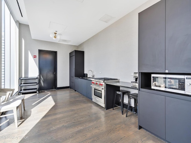 403 N Wabash Ave Unit 13B, Chicago, IL 60611 - kitchen with stainless steel appliances, modern cabinets, dark wood-style flooring, and plenty of natural light