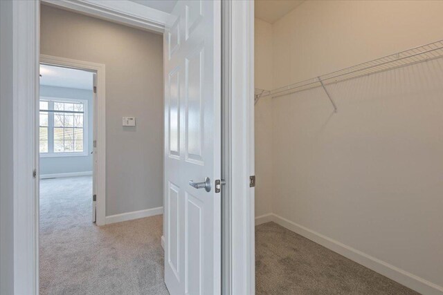unfurnished room featuring carpet floors, a healthy amount of sunlight, and baseboards