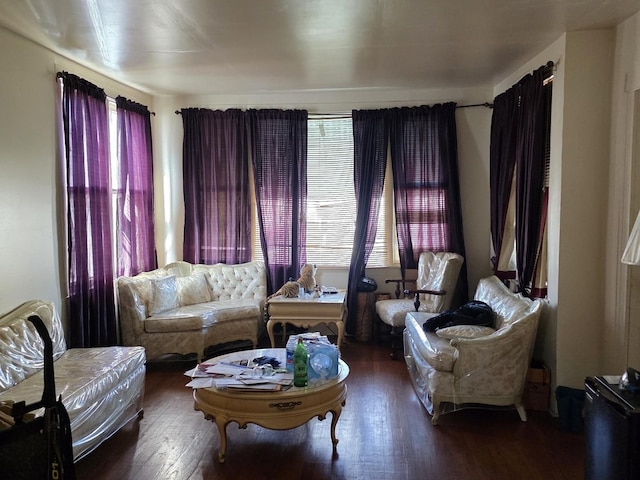 living area with hardwood / wood-style flooring