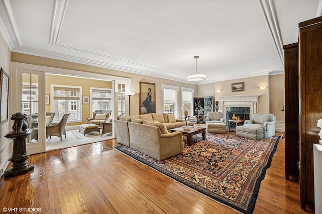 living room featuring hardwood / wood-style floors, ornamental molding, and a fireplace