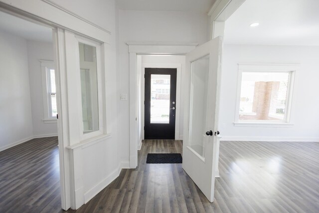 231 S Chicago Ave, Kankakee, IL 60901 - entryway featuring dark wood finished floors, baseboards, and plenty of natural light