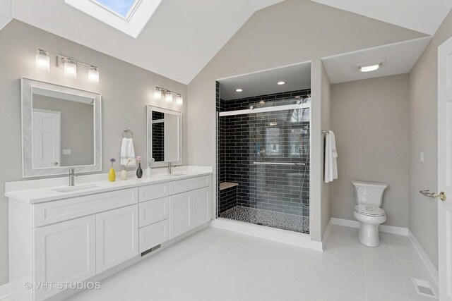 2407 Shaker Ct, Naperville, IL 60564 - bathroom with a shower stall, lofted ceiling with skylight, tile patterned floors, and a sink