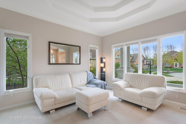 2407 Shaker Ct, Naperville, IL 60564 - carpeted living area with plenty of natural light, baseboards, a raised ceiling, and crown molding