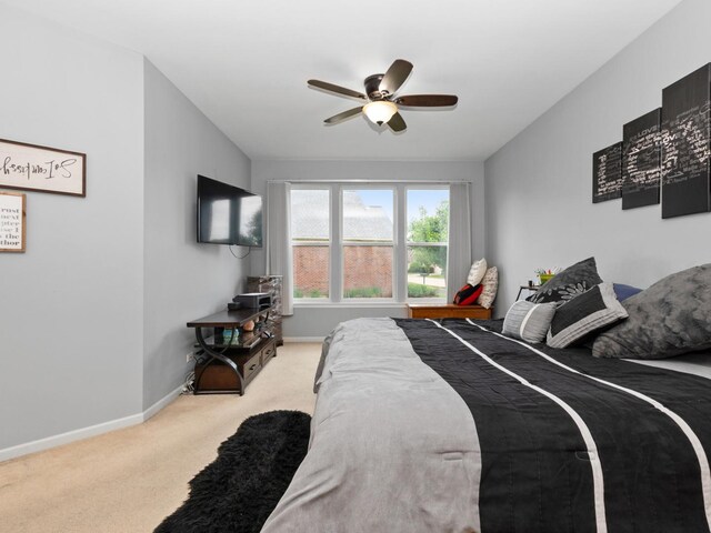 9206 Bundoran Dr, Orland Park, IL 60462 - photo 9
