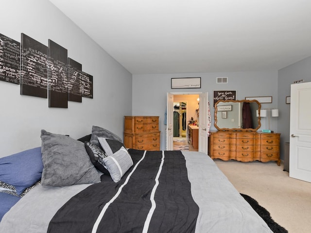 9206 Bundoran Dr, Orland Park, IL 60462 - photo 10