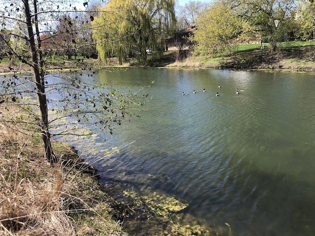 1952 Crenshaw Cir Unit 1952, Vernon Hills, IL 60061 - water view