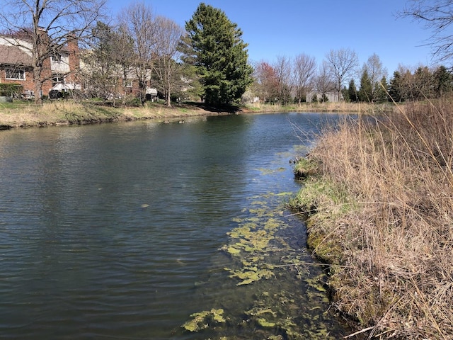 1952 Crenshaw Cir Unit 1952, Vernon Hills, IL 60061 - water view