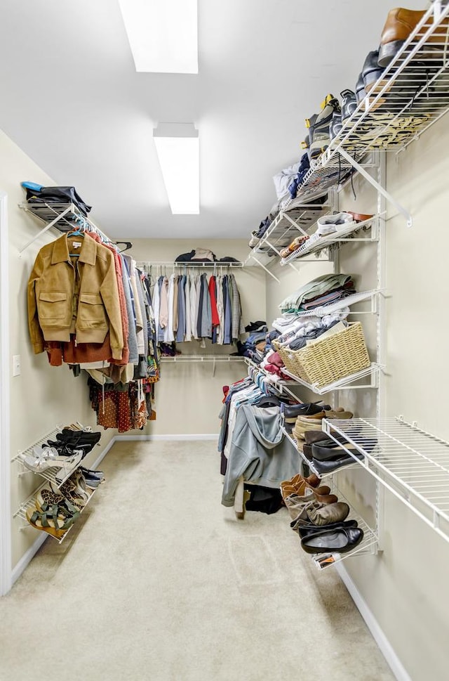 spacious closet featuring carpet floors
