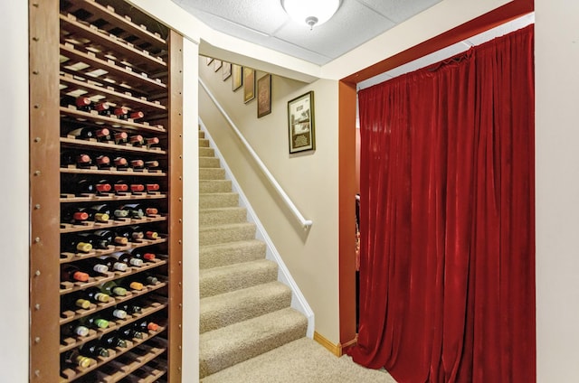 wine cellar with baseboards, a paneled ceiling, and carpet flooring