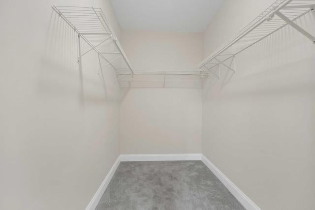 4538 S Calumet Ave Unit 3N, Chicago, IL 60653 - walk in closet featuring carpet flooring