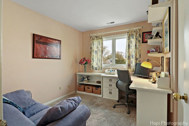 3213 Oakdale Ave, Johnsburg, IL 60050 - photo 23