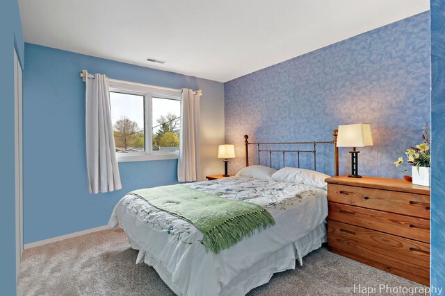 3213 Oakdale Ave, Johnsburg, IL 60050 - photo 27