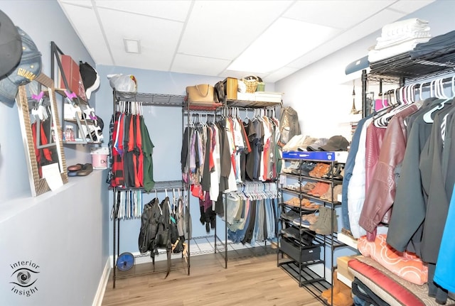 walk in closet featuring a drop ceiling and wood finished floors