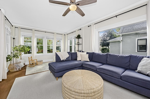 interior space featuring wood finished floors, ceiling fan, and crown molding