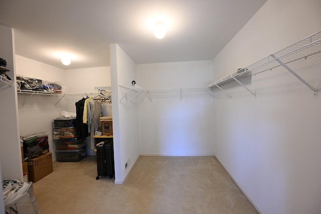661 Bluebonnett Dr, Aurora, IL 60505 - walk in closet featuring light carpet