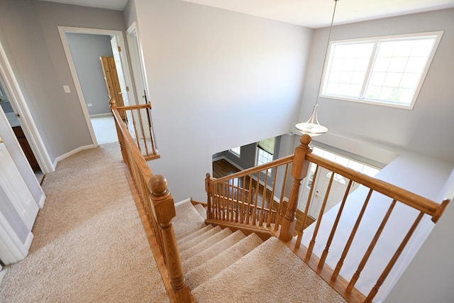 661 Bluebonnett Dr, Aurora, IL 60505 - stairs featuring carpet flooring and baseboards