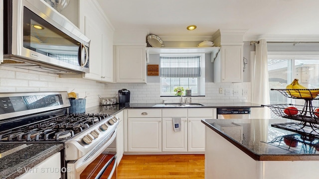 1734 Nashville Ln, Crystal Lake, IL 60014 - kitchen with a sink, plenty of natural light, light wood-style floors, and stainless steel appliances
