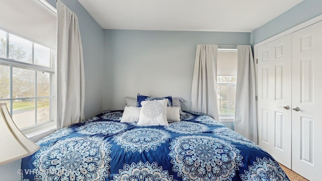 1734 Nashville Ln, Crystal Lake, IL 60014 - bedroom with multiple windows and a closet