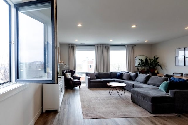 117 S Bell Ave Unit 4S, Chicago, IL 60612 - living area featuring plenty of natural light, wood finished floors, baseboards, and recessed lighting