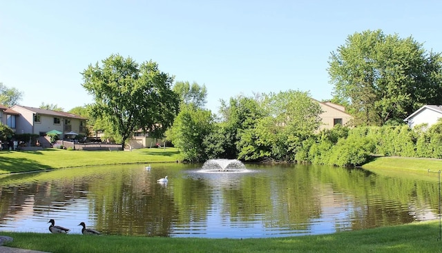 791 Overland Ct, Roselle, IL 60172 - view of water feature