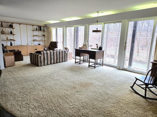 12211 S 93rd Ave, Palos Park, IL 60464 - sitting room featuring carpet and plenty of natural light