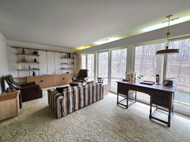 12211 S 93rd Ave, Palos Park, IL 60464 - view of carpeted home office