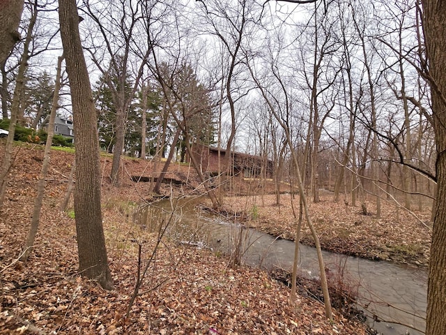 12211 S 93rd Ave, Palos Park, IL 60464 - view of local wilderness