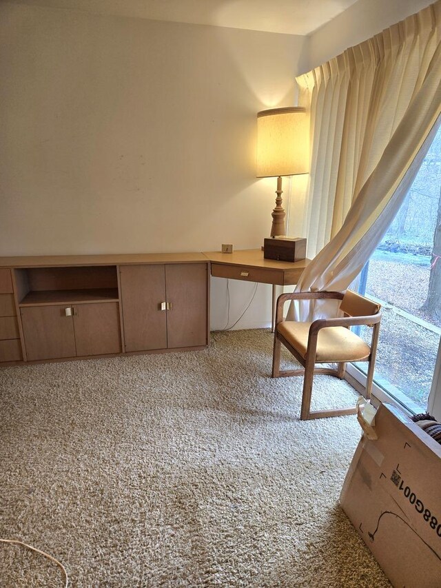 12211 S 93rd Ave, Palos Park, IL 60464 - office with carpet floors and built in study area