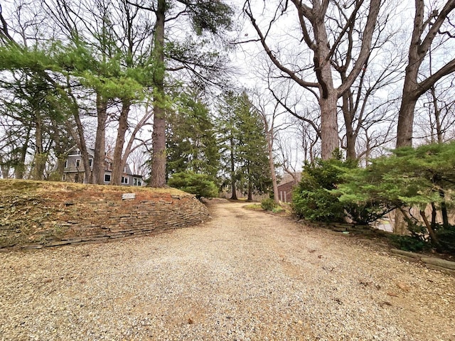 12211 S 93rd Ave, Palos Park, IL 60464 - view of dirt / gravel driveway