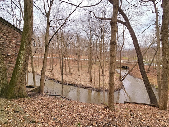 12211 S 93rd Ave, Palos Park, IL 60464 - water view